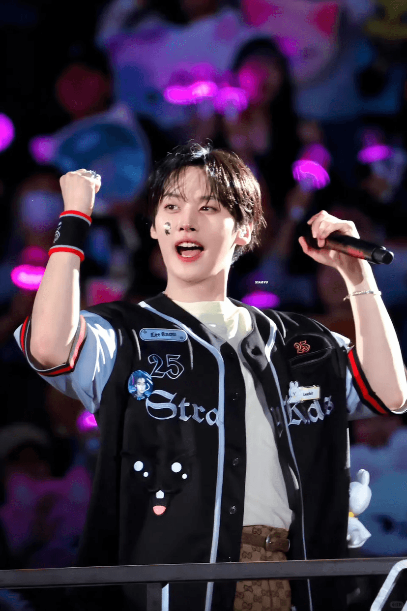 Lee Know (Lee Minho) 